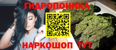 меф Пушкино