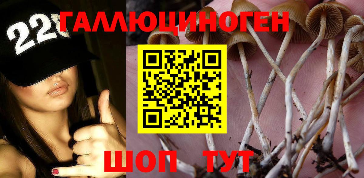 Псилоцибиновые грибы ЛСД  Галлюциногенные грибы мухоморы  Орехово-Зуево  Вход с VPN 